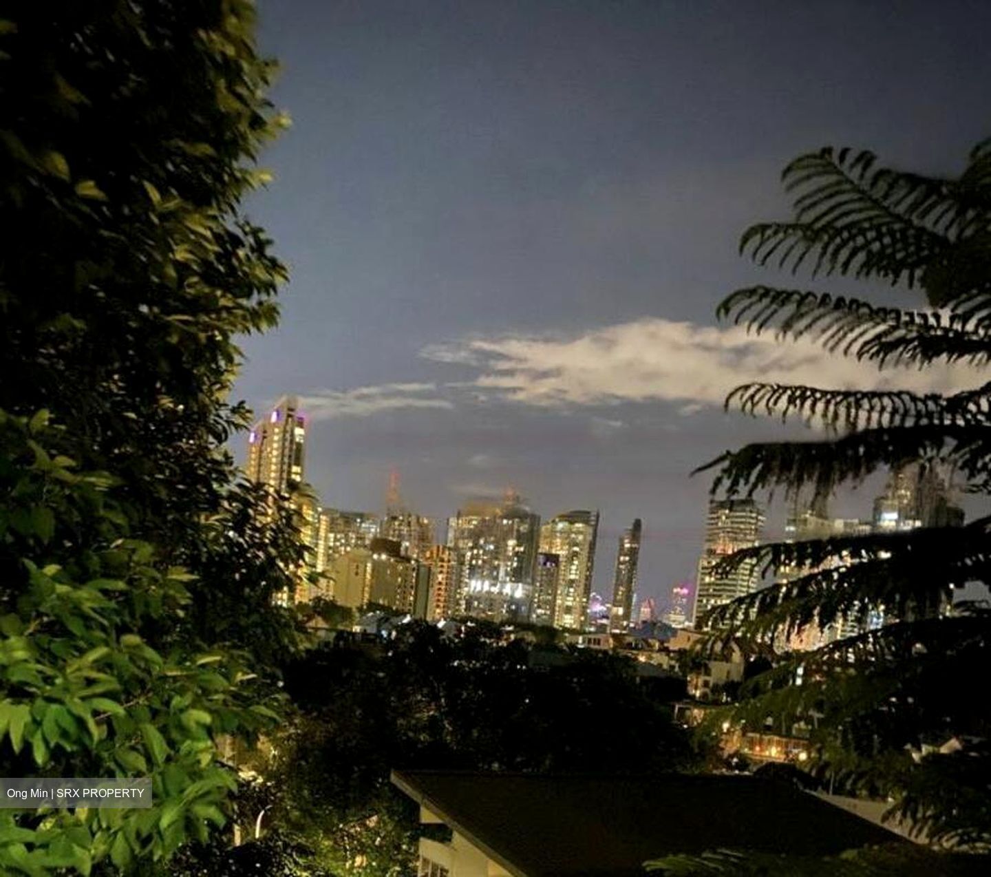 Bukit Tunggal Road (D11), Detached #458589351